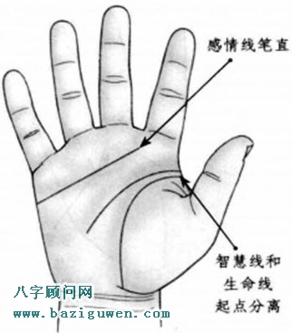 感情线笔直向前方延伸，智慧线和生命线的起点相互分离