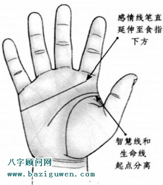 感情线笔直延伸至食指下方，智慧线和生命线起点分离