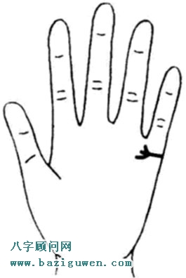 婚姻线分叉在末端有多条