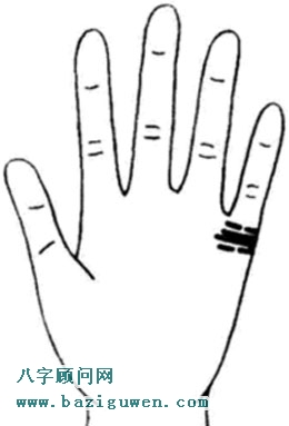 四条以上的婚姻线