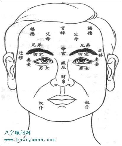 男女宫在哪儿?男女宫蕴含的命理信息