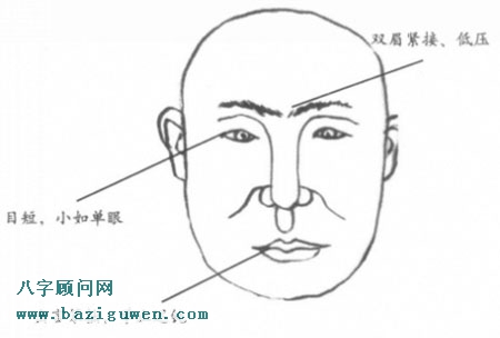 愚鲁之人的容貌有哪些特征？