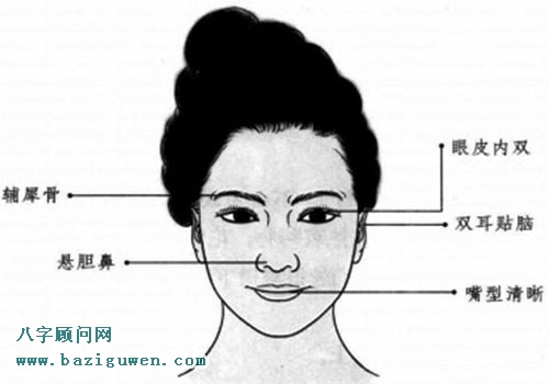 功能名就的人的面相特征