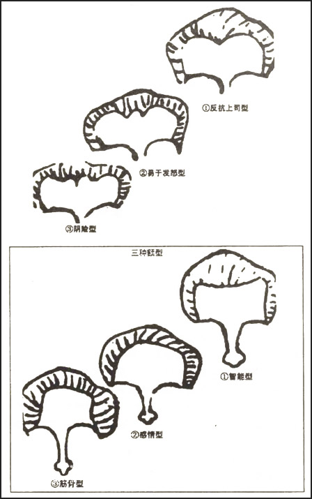 有美人尖的女性会反抗丈夫吗?