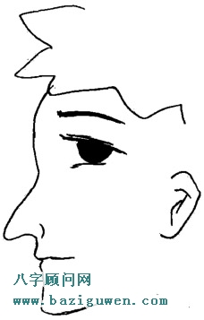 鼻相图解鹰钩鼻