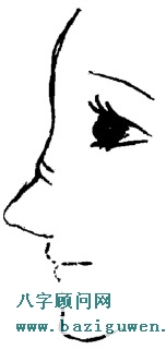 鼻相图解女人鼻梁有缺陷