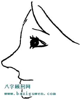 鼻相图解女人鼻子高挺