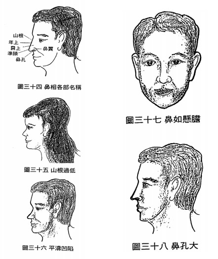 如何从鼻相判断动产财运及赚钱的能力
