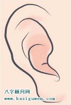 耳垂大而圆且厚实的人