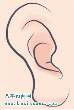 耳垂小又朝口的人
