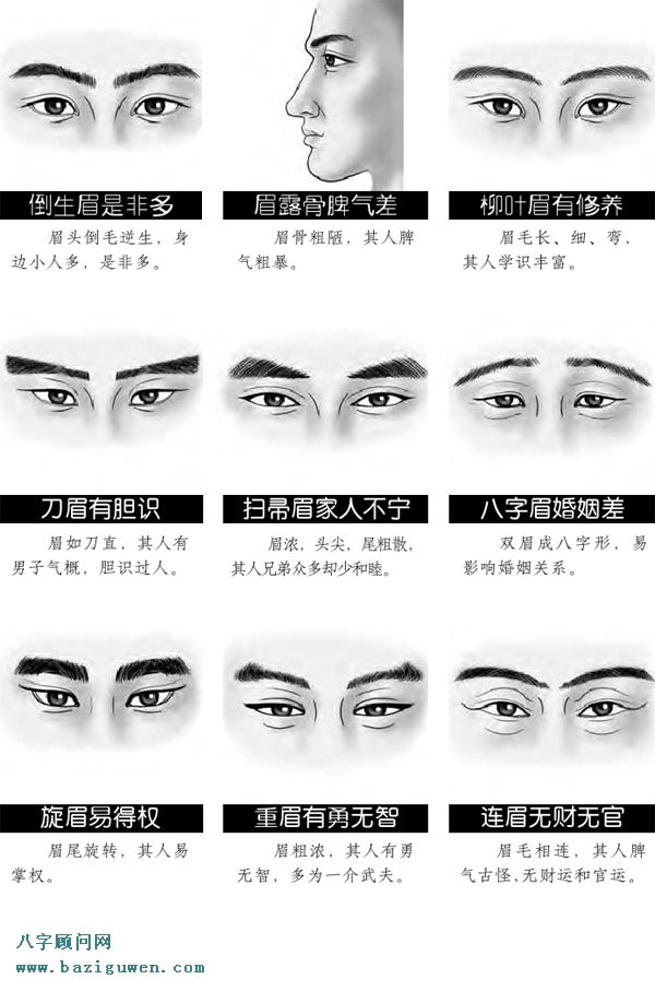 眉形看命运