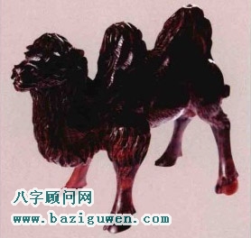 紫檀骆驼