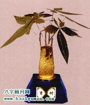 发财树的开运作用