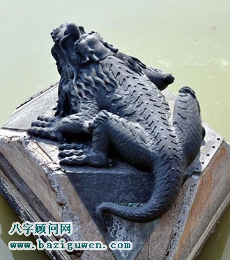 趴蝮的风水开运作用