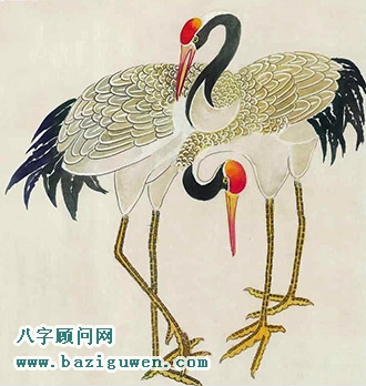 鹤的风水开运作用