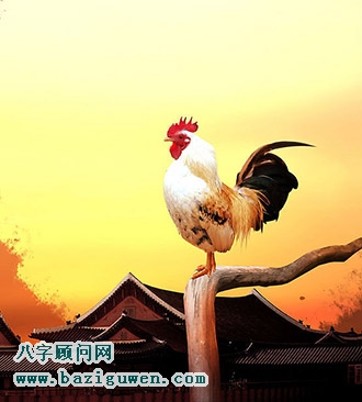 雄鸡有哪些开运作用