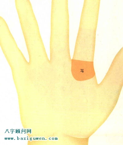 手相图解木星丘