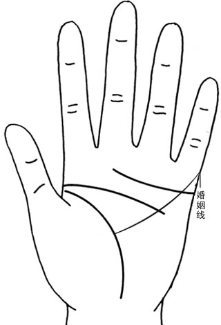 婚姻线很长而下降到达金星丘